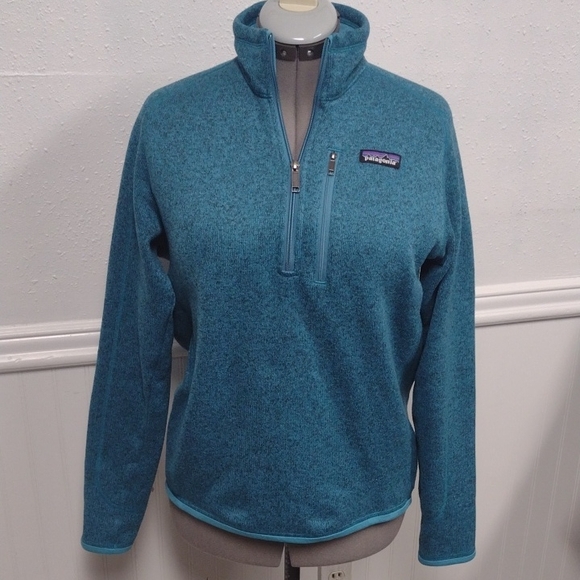 Patagonia Men's Blue Fleece Pullover Hiking Outdoor Casual